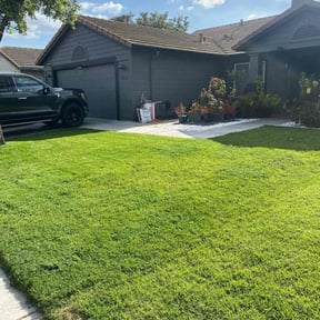 yard care by Razo landscape reviewed on February 2, 2026