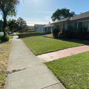 landscaping services by My Lawn Care Service reviewed on August 21, 2025