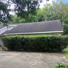 Bush Trimming by Elegant Lawn Care reviewed on August 19, 2025