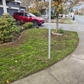 Bush Trimming by Michiee Bee Lawn Care reviewed on November 29, 2025