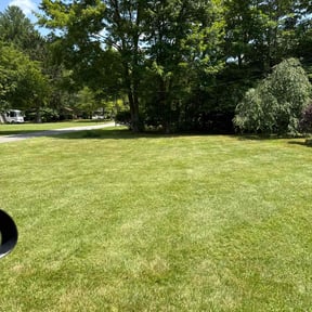 yard service by D and h lawnservice reviewed on August 16, 2025