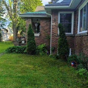 Bush Trimming by J.M.Dandreo Landscape maintenance and construction reviewed on August 18, 2025