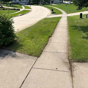 landscaping services by FALCON LANDSCAPE AND HOME SOLUTIONS reviewed on December 11, 2025