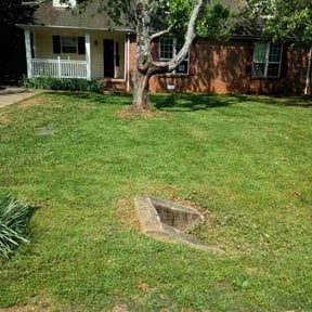 lawn care services by Absolutely Random reviewed on June 9, 2024