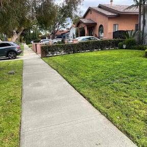 yard service by L&G Landscapes reviewed on August 18, 2025