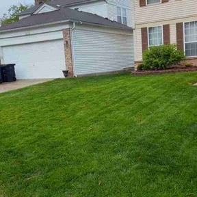turf maintenance by Mora Brothers Tree and Landscaping reviewed on August 16, 2025