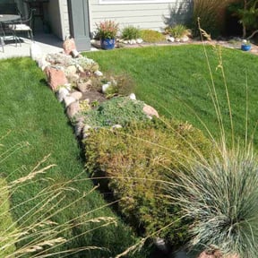 landscaping by STAR Lawn Care Services reviewed on August 18, 2025