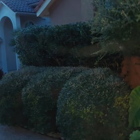 Bush Trimming by Rodriguez Lawn Care LLC reviewed on August 18, 2025