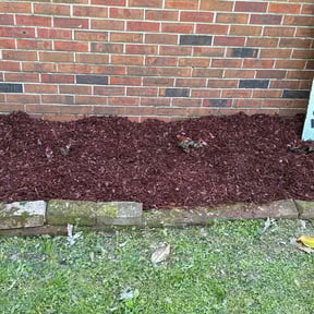 Flower Bed Weeding by Their Is Nothing We Can't Do Services reviewed on August 17, 2025