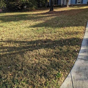 Leaf Removal by Lot Legends LLC reviewed on September 28, 2025