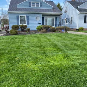 landscaping services by Rich Cuts reviewed on August 17, 2025