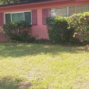 Bush Trimming by Heavenly Lawns By Jesus reviewed on November 23, 2025