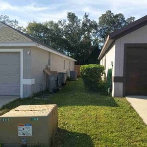 Bush Trimming by Father Great Nursery reviewed on November 6, 2025