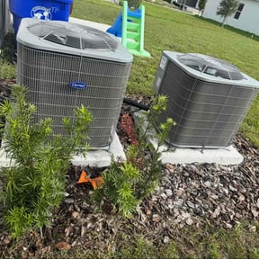 Leaf Removal by BIG D &amp; 3 LAWNCARE AND POOL SERVICES reviewed on November 8, 2025