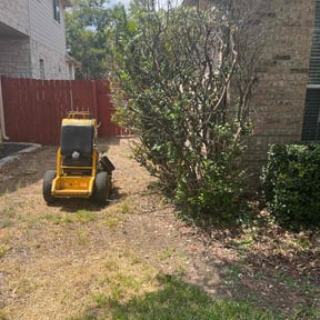 Bush Trimming by Grant Home and Lawn reviewed on August 15, 2025