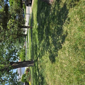 lawn maintenance by Mighty Maverick Lawn Heroes and Landscaping reviewed on March 29, 2024