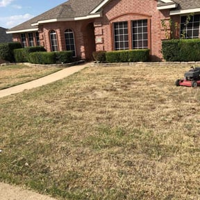 Bush Trimming by J&W Luxury Lawn Care reviewed on August 19, 2025