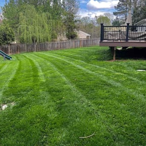 landscape maintenance by Supreme Home Services reviewed on November 18, 2025