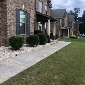 Bush Trimming by Elite Services reviewed on August 17, 2025