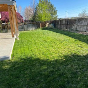 yard maintenance by MOG&L reviewed on August 18, 2025