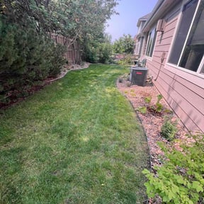 turf care by Omnipresent Services LLC reviewed on June 27, 2025