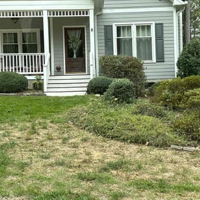 Bush Trimming by Ranchers Landscaping reviewed on August 17, 2025