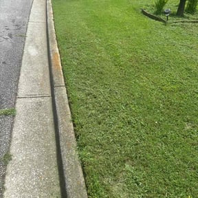lawn care by Elite Landscaping reviewed on August 15, 2025