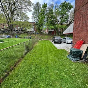 turf care by Simple Solution Home Services reviewed on April 20, 2024
