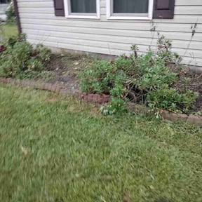 Flower Bed Weeding by Fremont Landscaping reviewed on August 20, 2026