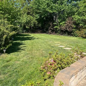 yard care by Green T's Lawn &amp; Landscape reviewed on January 7, 2026