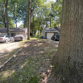 Leaf Removal by Mims Turf and Shrub Pros Inc reviewed on October 3, 2025