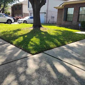 grass maintenance by José Peraza All House Service reviewed on March 6, 2024