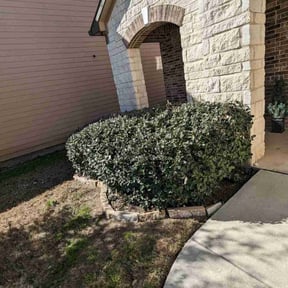 Bush Trimming by Mow and Maintenance reviewed on August 16, 2025