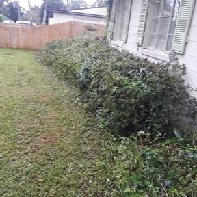 Bush Trimming by Full throttle lawn care reviewed on August 17, 2025