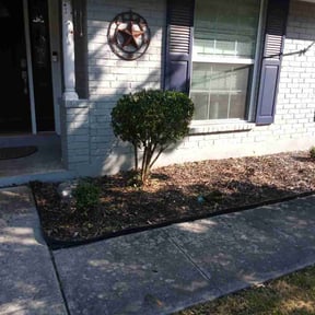 Bush Trimming by Mike’s mowing and property maintenance reviewed on December 29, 2025