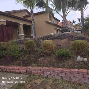 Bush Trimming by David Peters reviewed on November 19, 2025