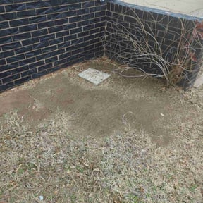 Leaf Removal by Kinge lawn care and more llc. reviewed on September 11, 2025