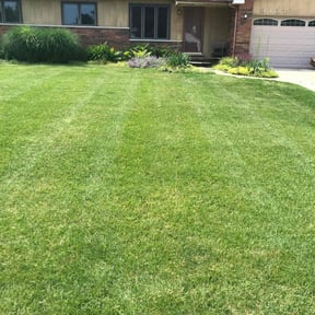 turf care by Bubbas lawn service/car reviewed on September 16, 2025