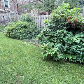 Bush Trimming by Community First Lawncare reviewed on August 27, 2026