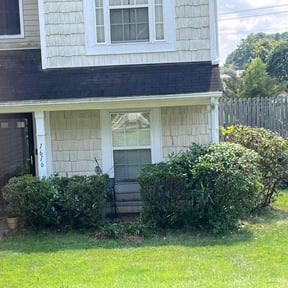 Bush Trimming by TruGreen LawnCare reviewed on October 19, 2025