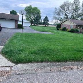 gardening service by Pawpaws lawn care service reviewed on November 22, 2025