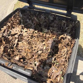 Leaf Removal by Ak1stop llc reviewed on August 15, 2026