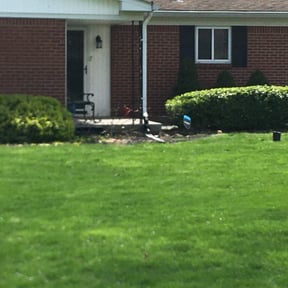 Bush Trimming by Full throttle lawn care reviewed on August 15, 2025