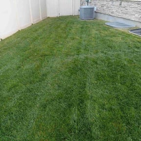 gardening service by J & S Lawn reviewed on August 20, 2025