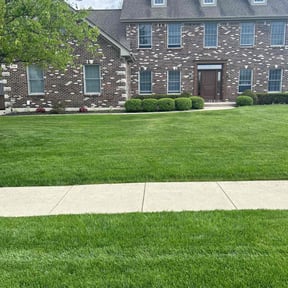 yard service by Verde Lawn and Property Management reviewed on August 17, 2025