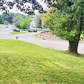 lawn care services by Arose landscaping reviewed on August 15, 2025