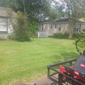 Bush Trimming by Ismael reviewed on August 20, 2025