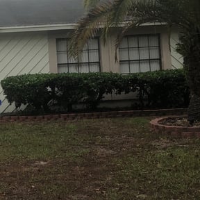 Bush Trimming by D & Son's Lawn Care reviewed on August 21, 2025