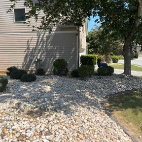 Bush Trimming by Brighter day outdoor services reviewed on November 21, 2025