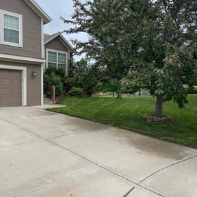 turf maintenance by The Lawn Cypress reviewed on November 23, 2025